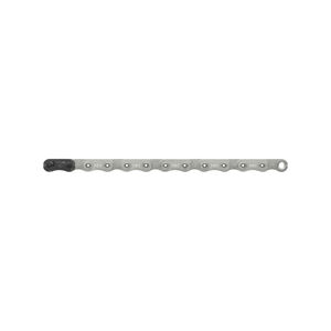 SRAM XX T-TYPE EAGLE HOLLOWPIN - stříbrná