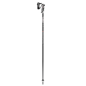 Leki Sjezdové hole  Bold Lite S